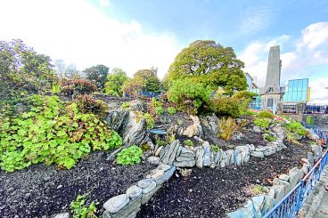 Dynamic duo revitalise Dunoon Castle Gardens