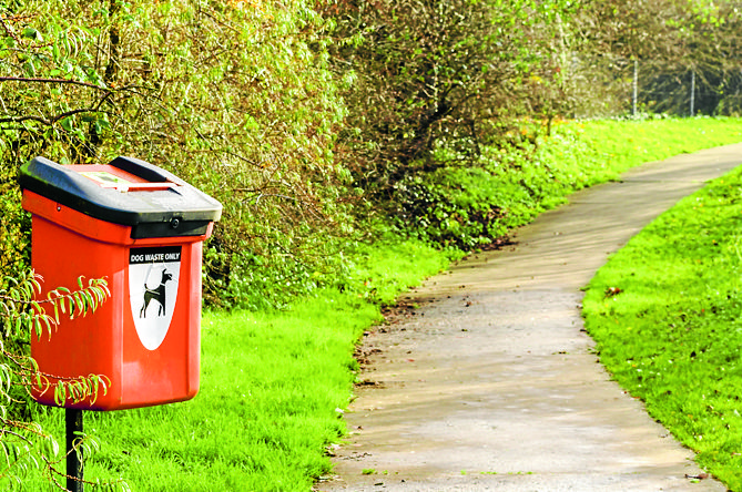 Councillor urges dog owners to clean up after their pets