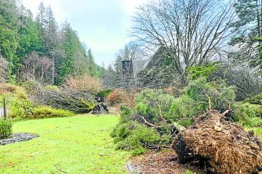 Extensive storm damage at Benmore Botanic Garden