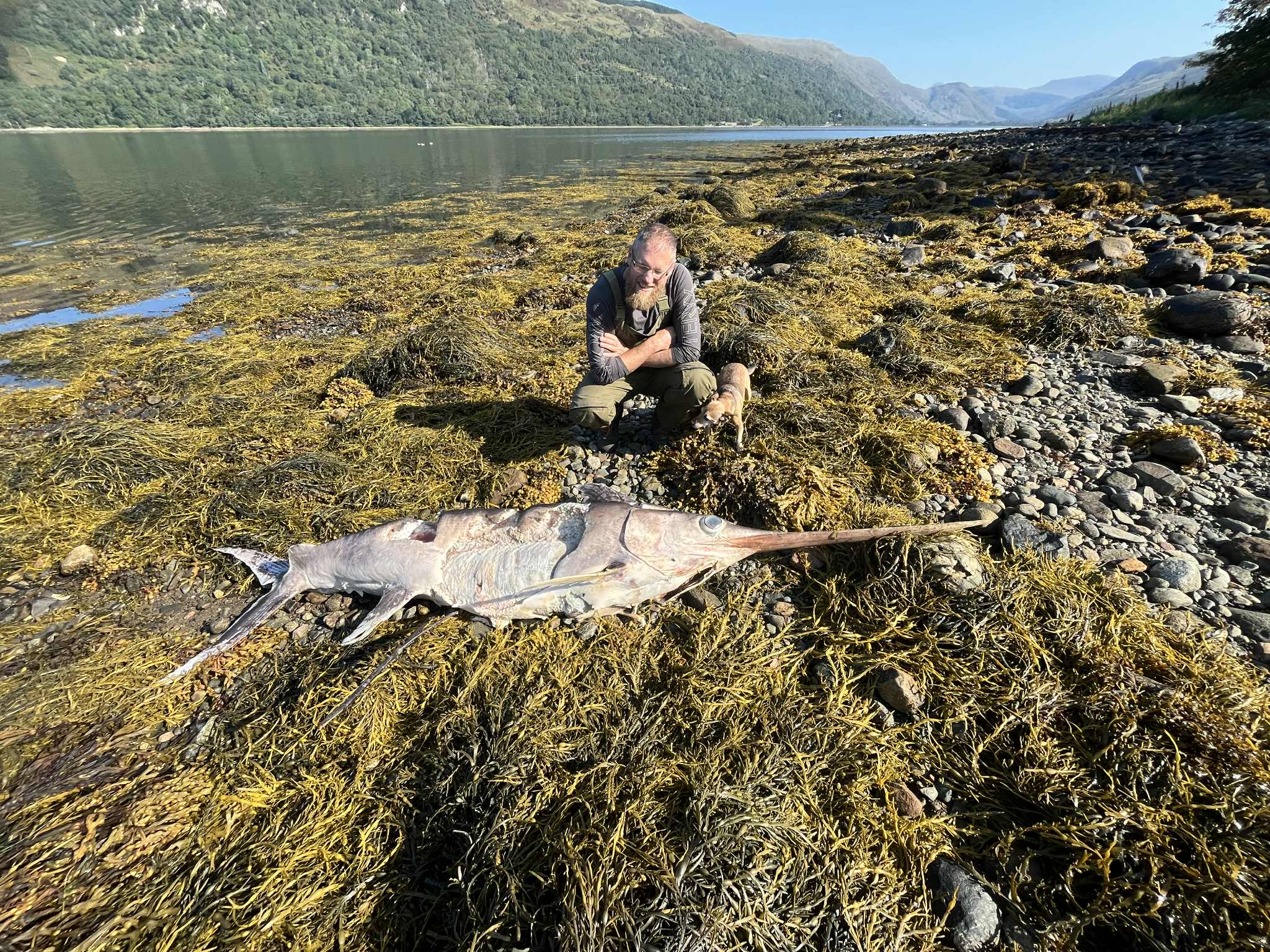 Rare marine visitors spotted in local waters