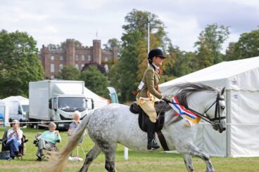 Local pony crowned at national finals