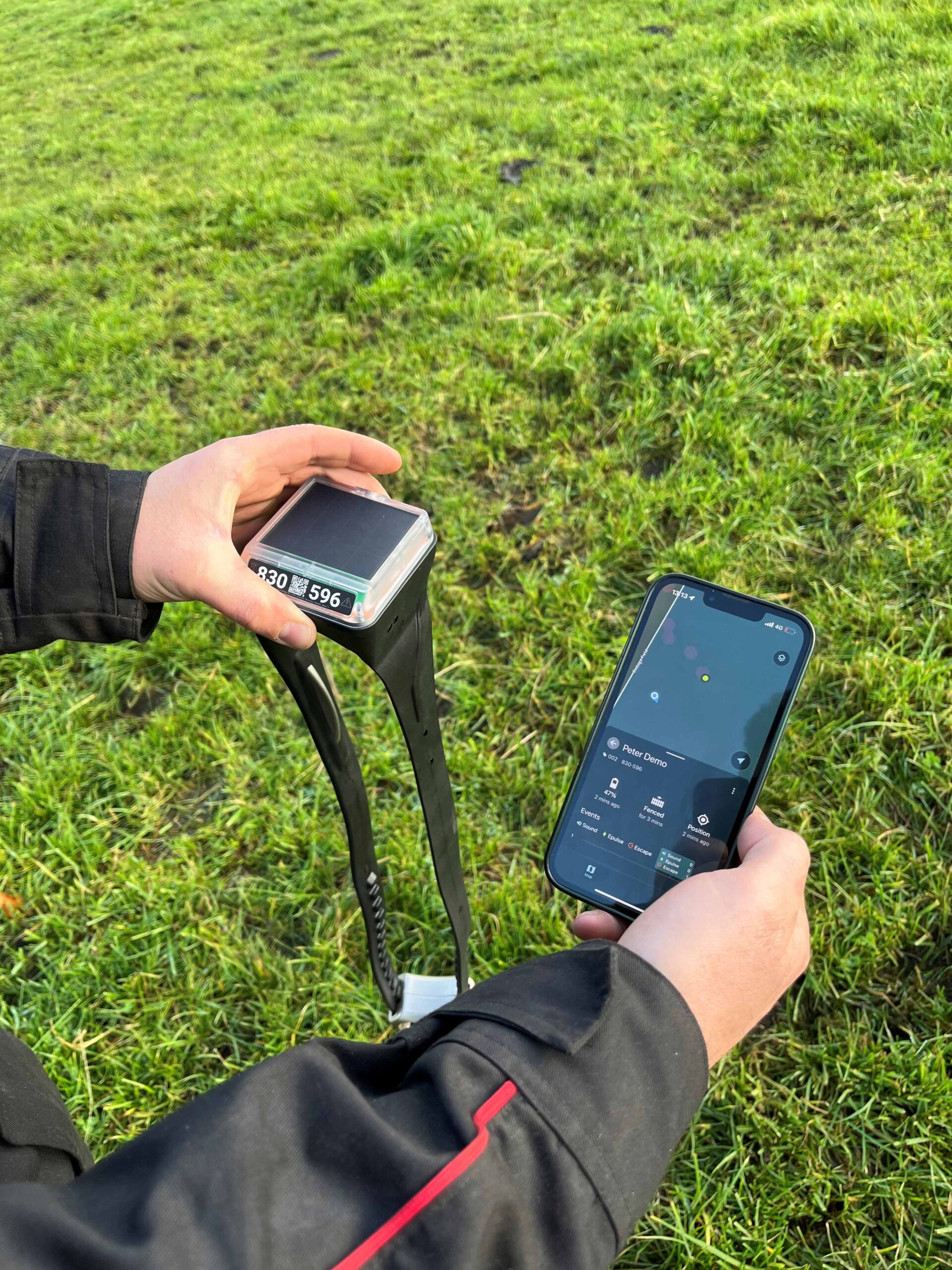 Virtual fencing on Scottish hills shows promise