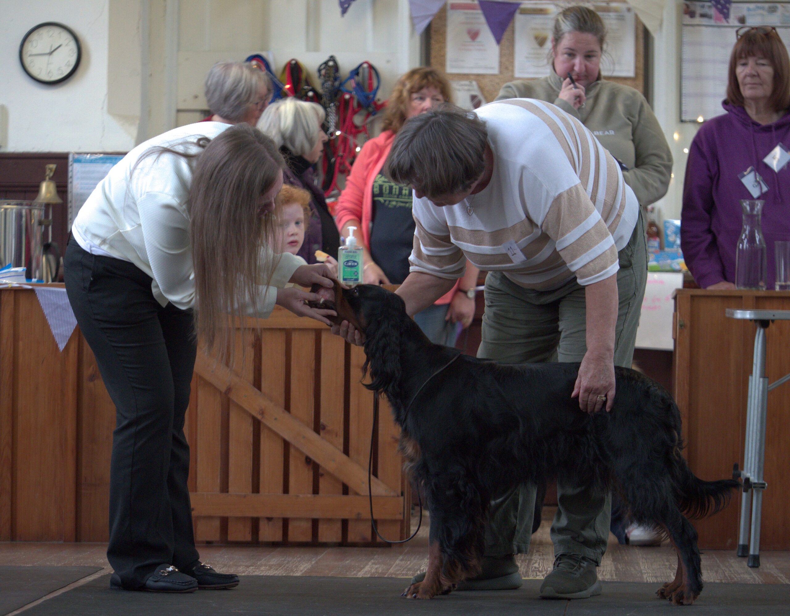 Cowal Dog Club’s annual Companion Dog Show