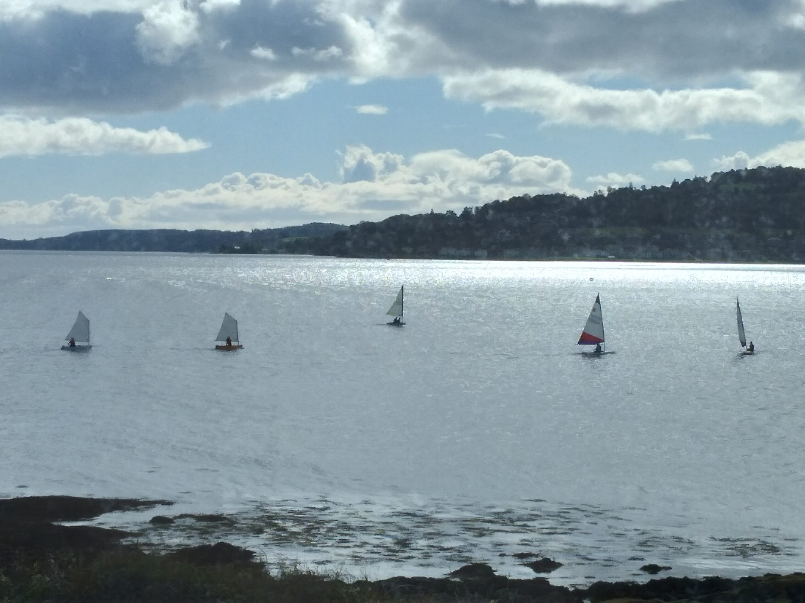 Toward SC dinghies shine in gusty Frostbite race