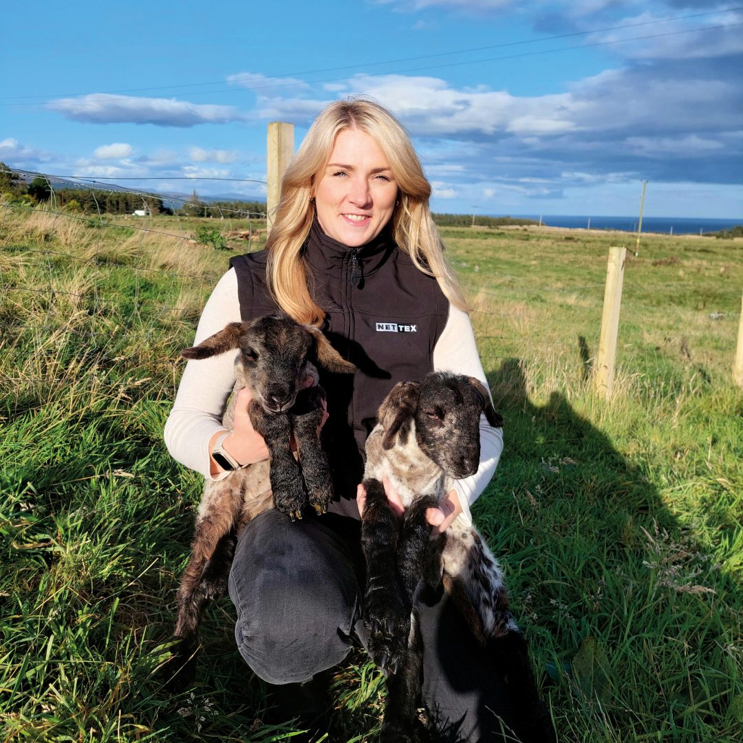 Scottish farmers urged to test forage despite stronger silage results