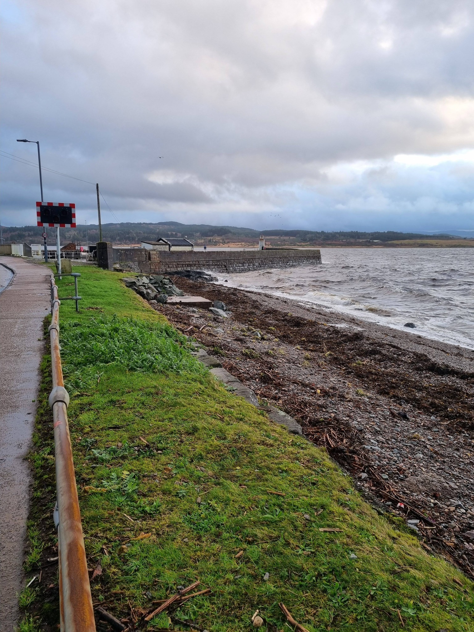 Police warn public after poisonous Hemlock found on shoreline