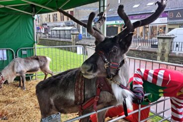 Dunoon Named on ‘Reindeer Shame’ Map