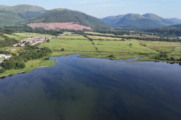 Seagrass makes remarkable return to Holy Loch