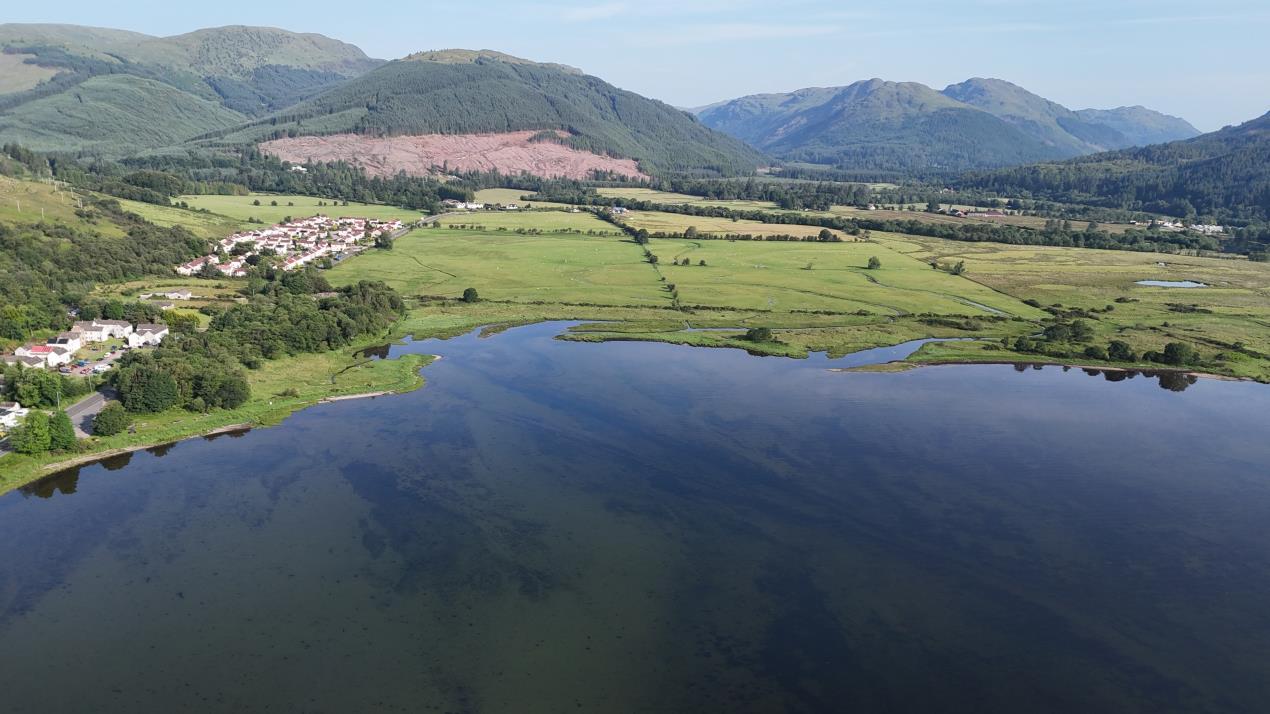 Seagrass makes remarkable return to Holy Loch