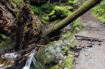 Puck’s Glen needs a funding lifeline to reopen