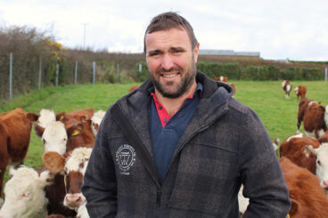 Sheep farmers urged to focus on wool as demand grows