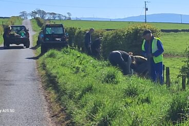 Conservation volunteers have their cake and eat it