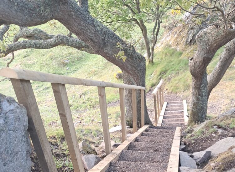 Ardscalpsie beach steps restored after community-backed repair project