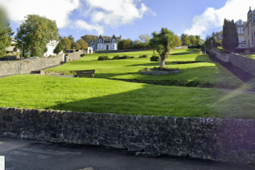 Council grass areas to bloom for pollinators