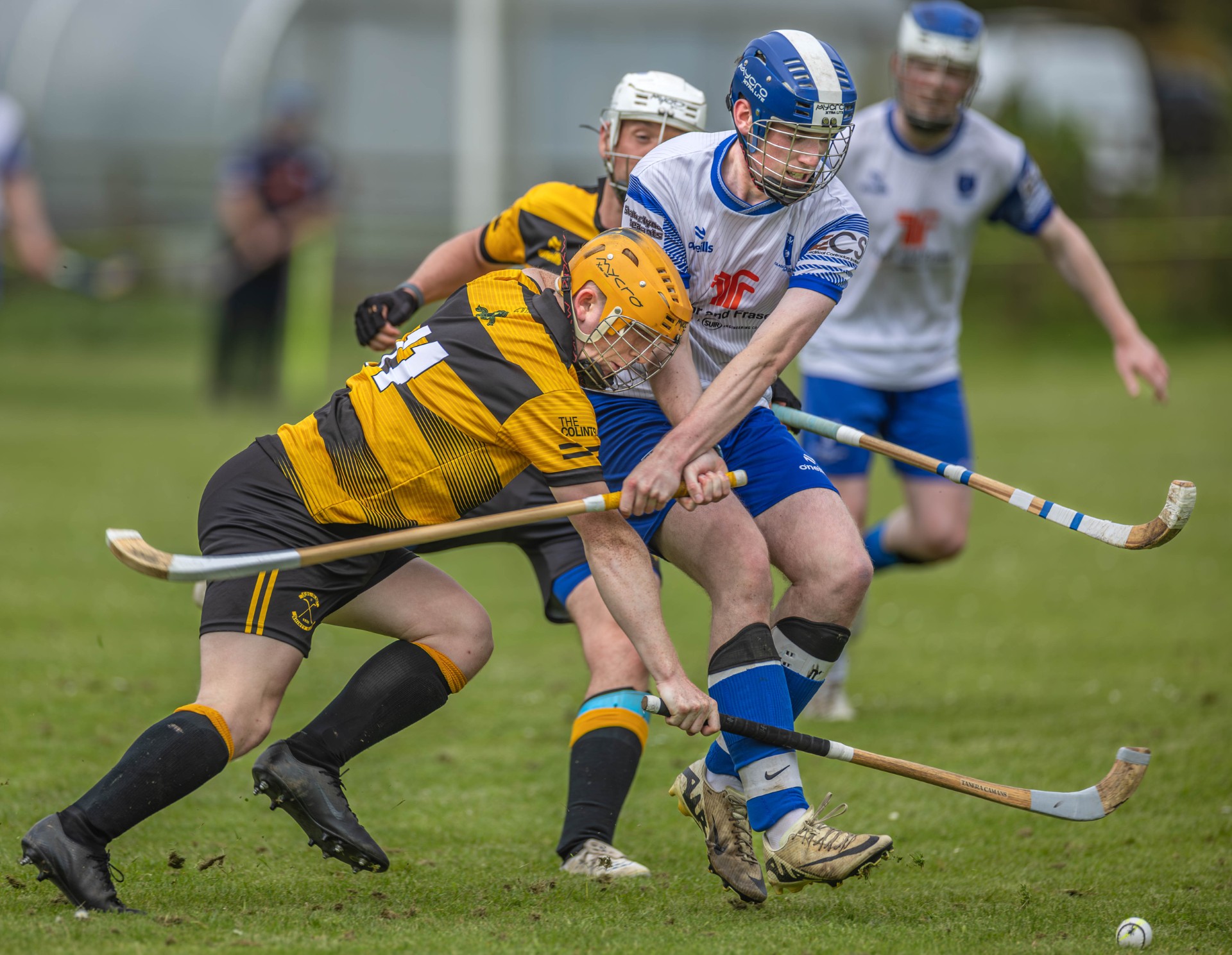 ColGlen suffer semi-final heartbreak against Glasgow Mid-Argyll