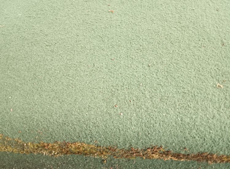 Winter moss blitz brings Colintraive green back into play