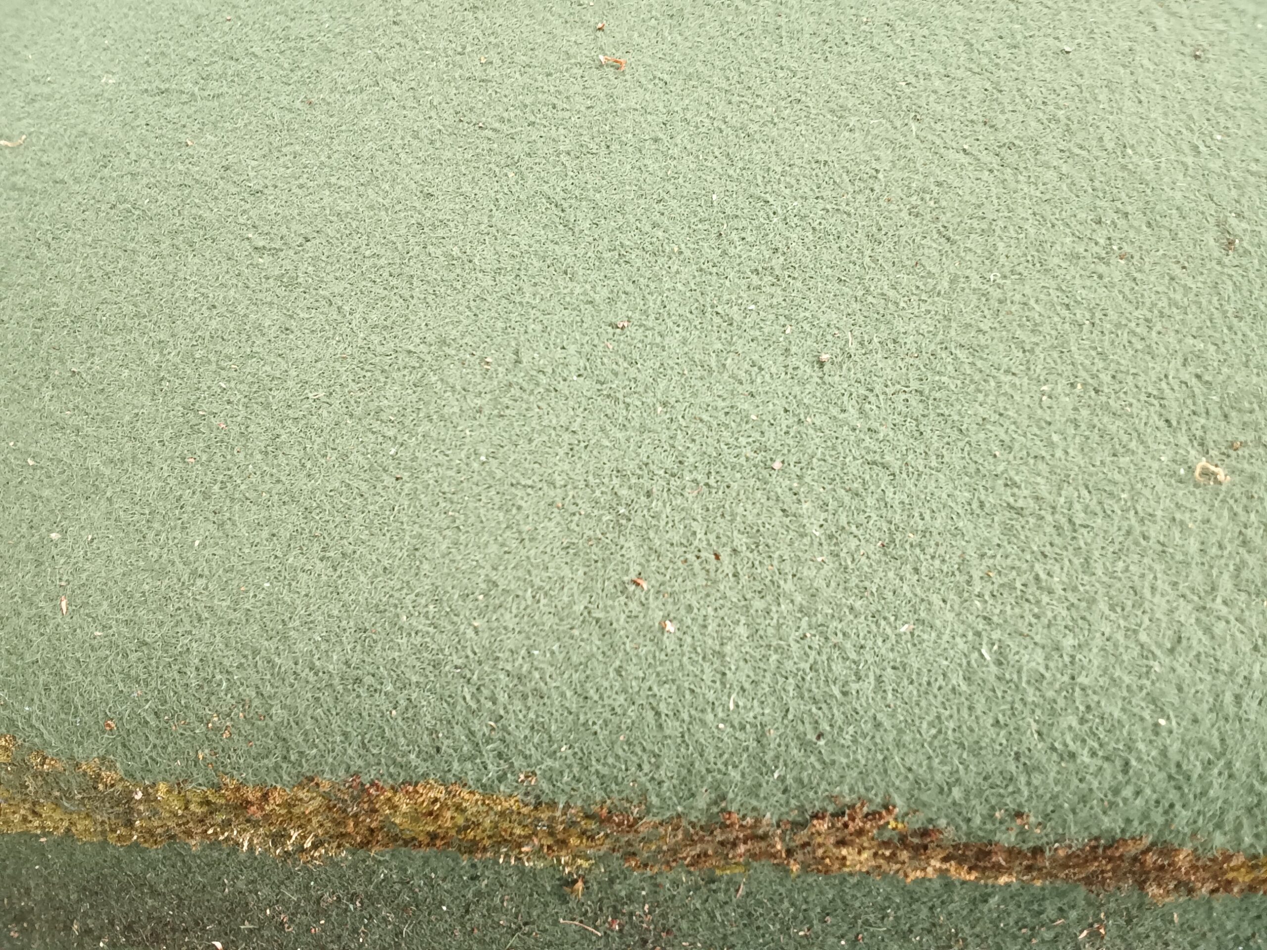 Winter moss blitz brings Colintraive green back into play