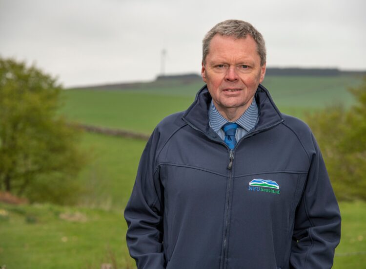 Support package for Scotland’s pig producers ‘unlikely to go far enough’