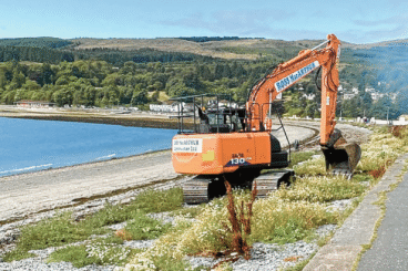 West Bay weed row grows