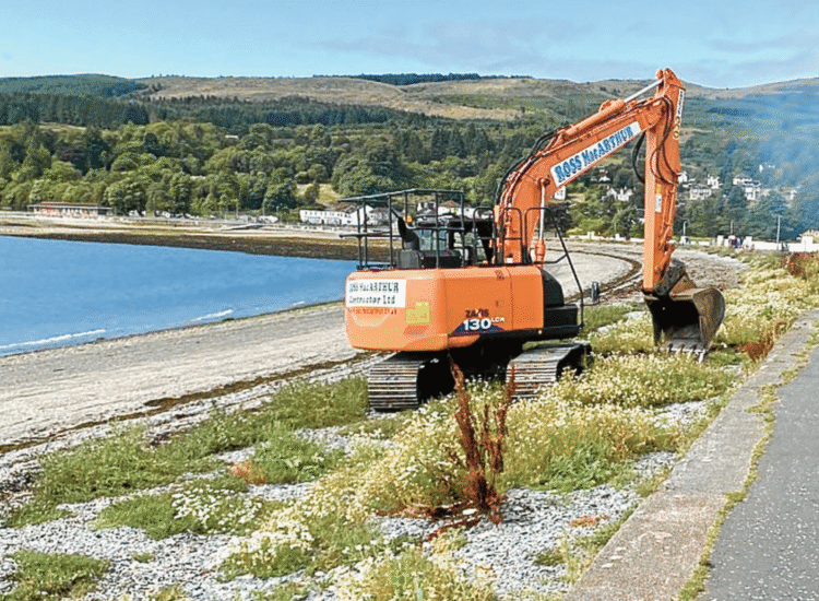 West Bay weed row grows
