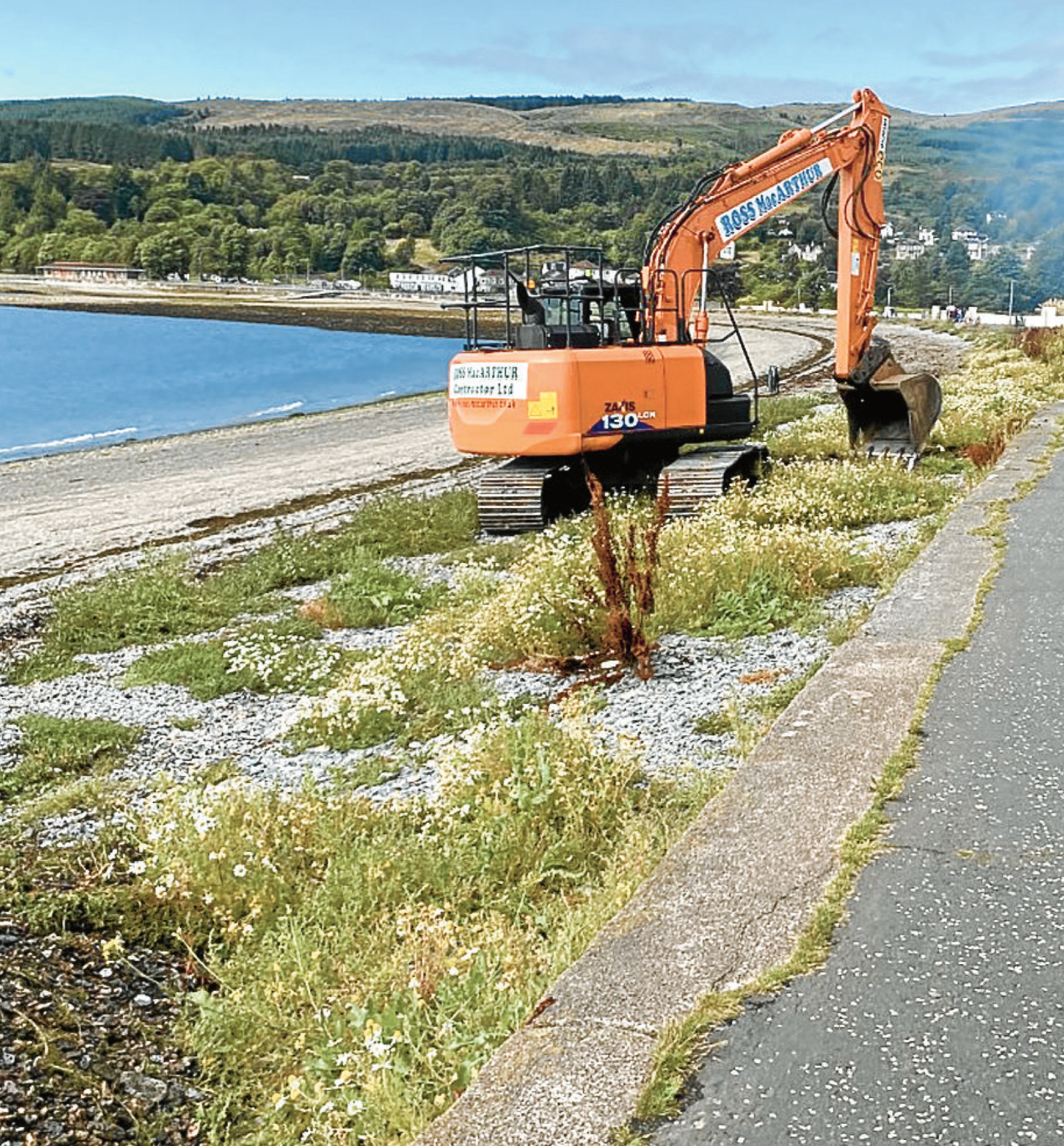 West Bay weed row grows