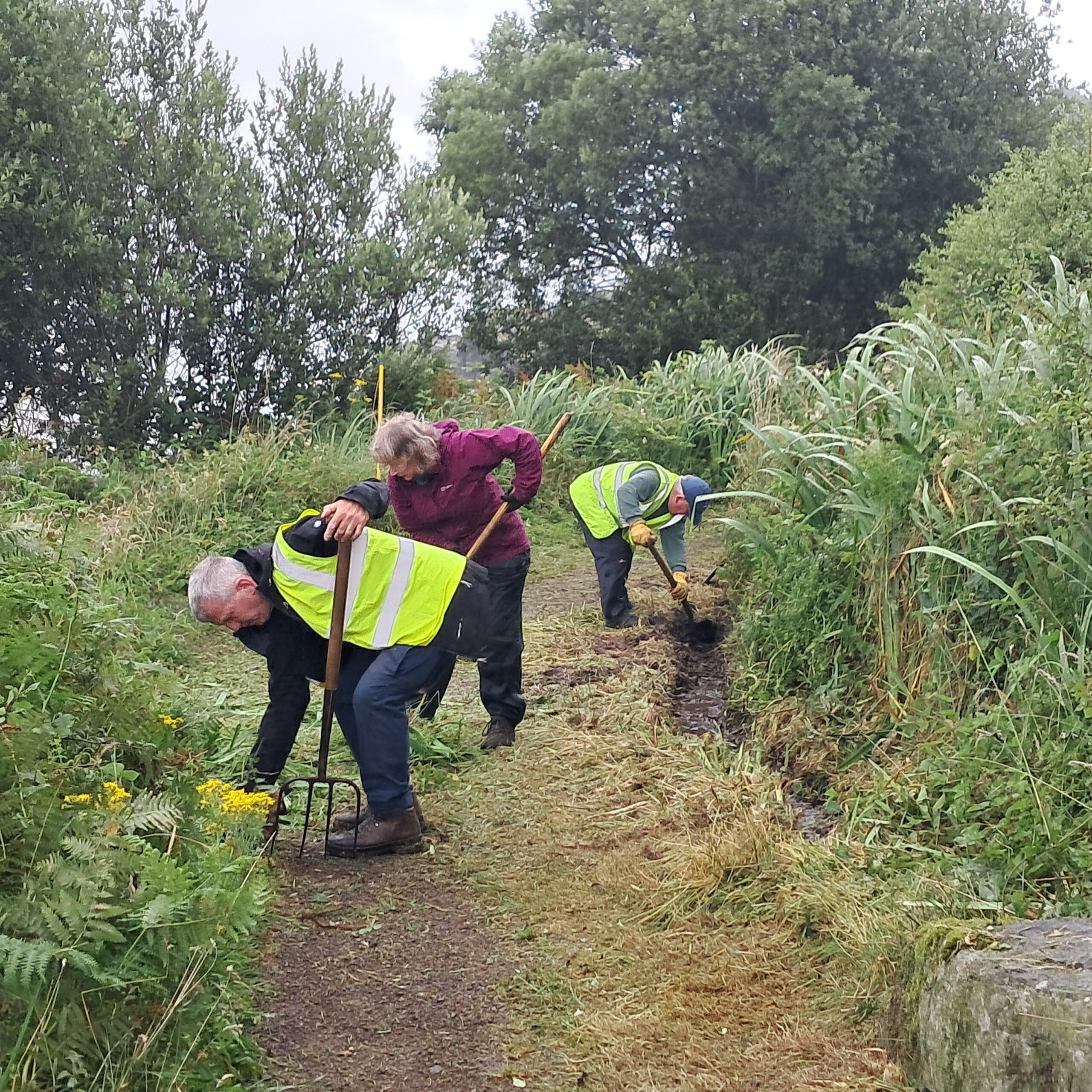 Volunteers spruce up start of West Island Way