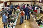 Bumper crowds visit Kyles Flower Show