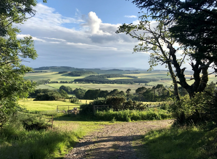 New toolkit aims to help farmers put a value on nature