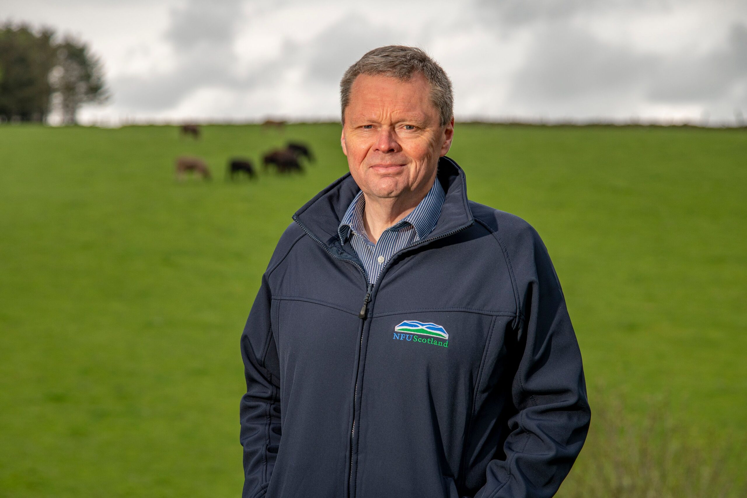 Scottish produce gains ground on supermarket shelves
