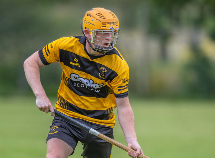 Captain Kerr to lead the south
