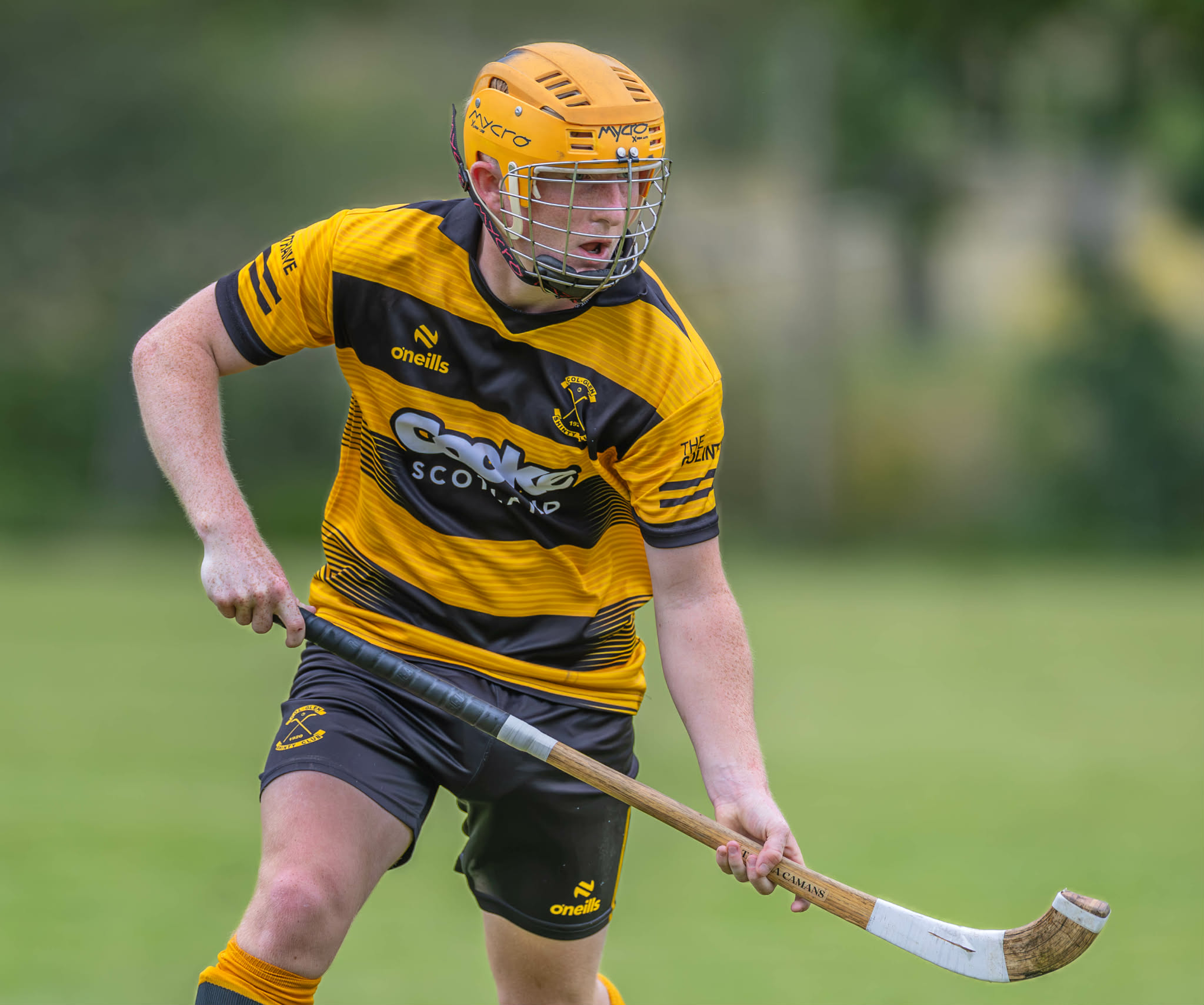 Captain Kerr to lead the south