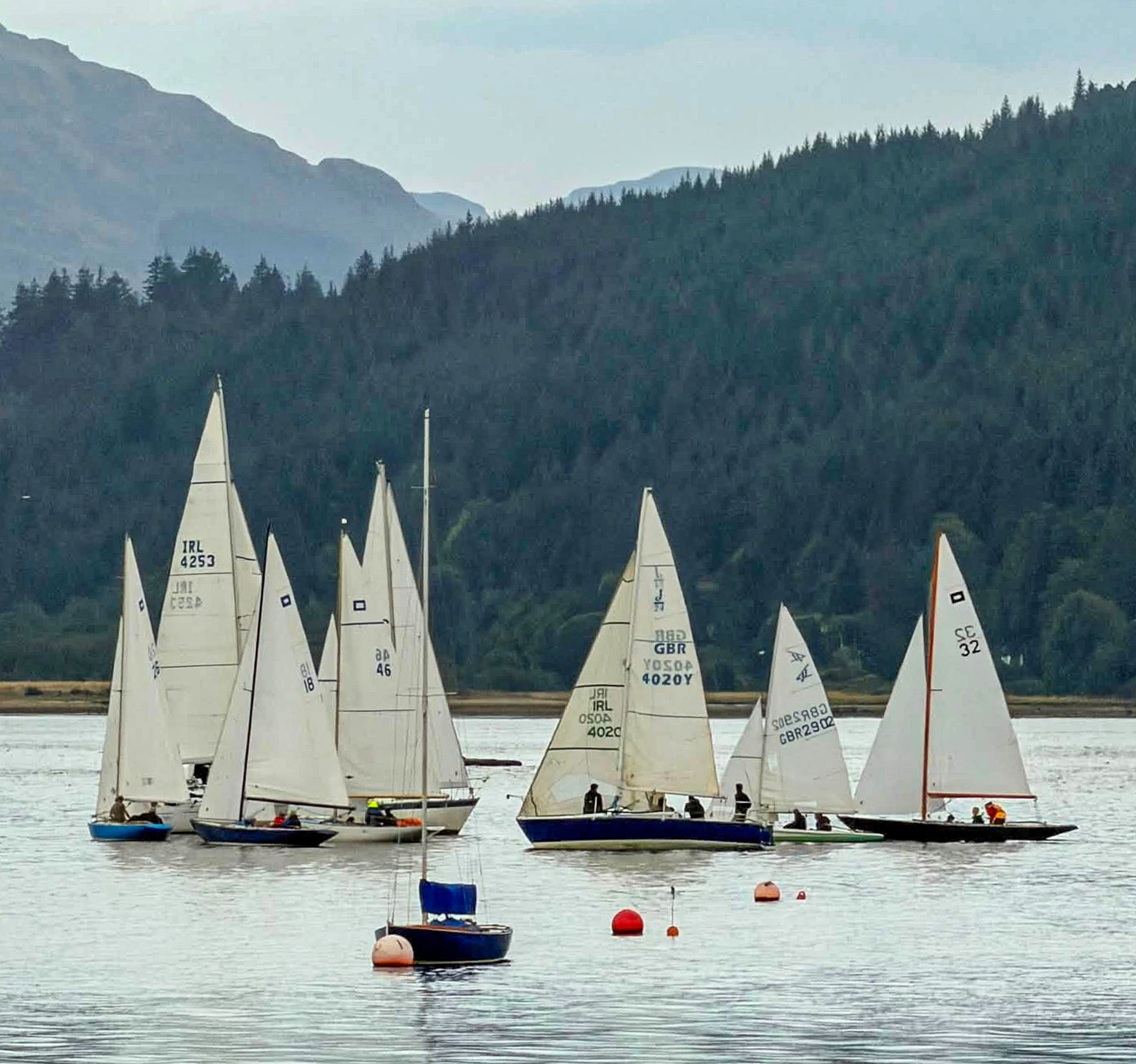 Holy Loch Sailing Club competitors battle light winds