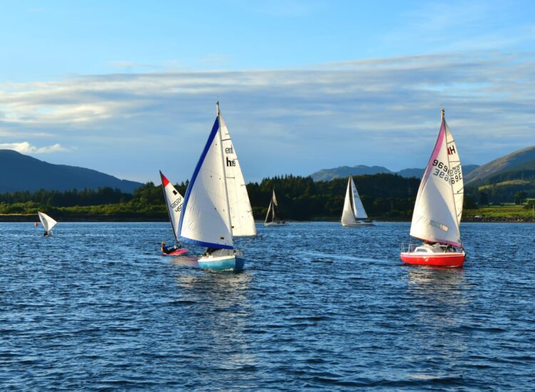 Toward Seasports Club report