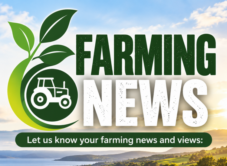 Agricultural charity seeks financial expert to join board