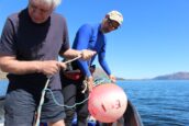 Argyll Coast and Islands Hope Spot extends waters