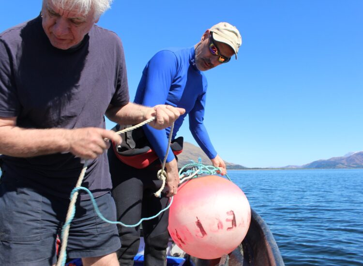 Argyll Coast and Islands Hope Spot extends waters